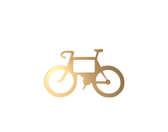 Bicycle Buckle