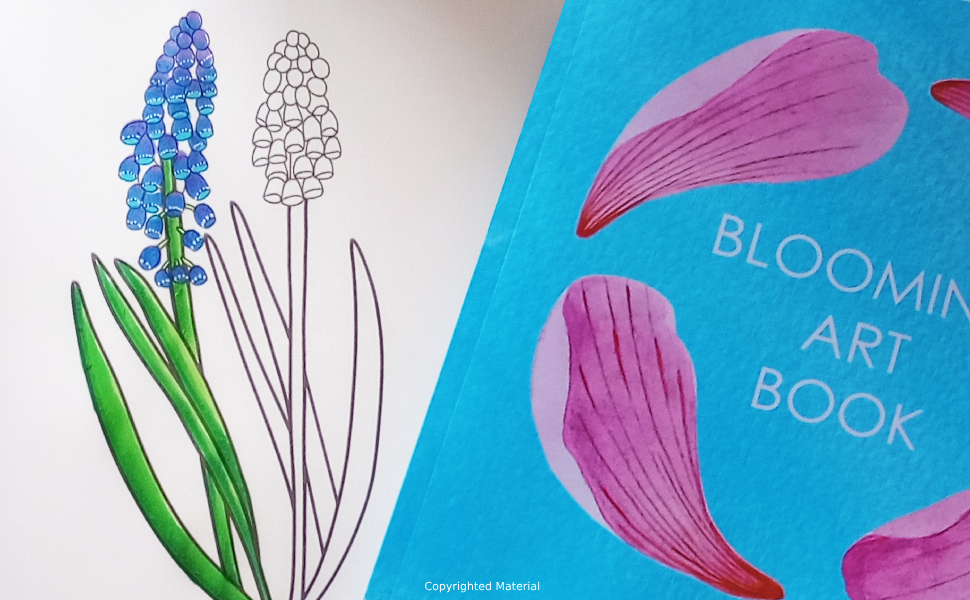 BLOOMING ART BOOK