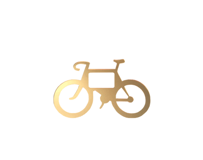 Bicycle Buckle