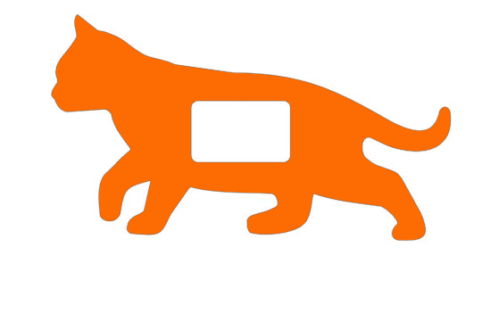 Cat Buckle
