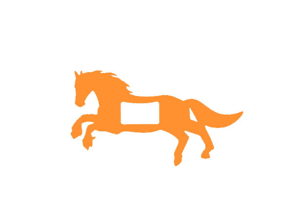 Horse Buckle
