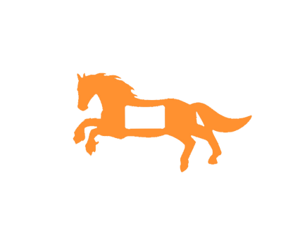 Horse Buckle