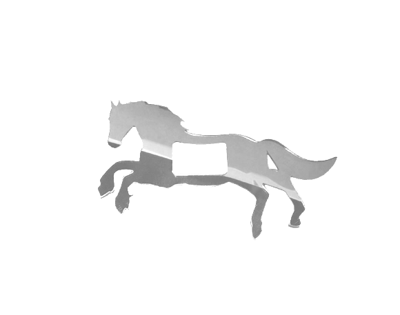 Horse Buckle