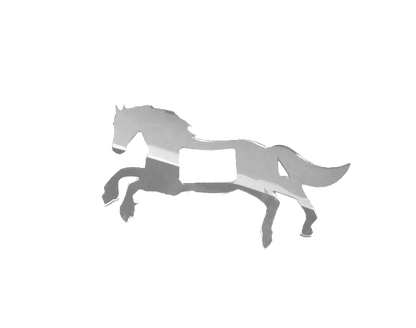 Horse Buckle